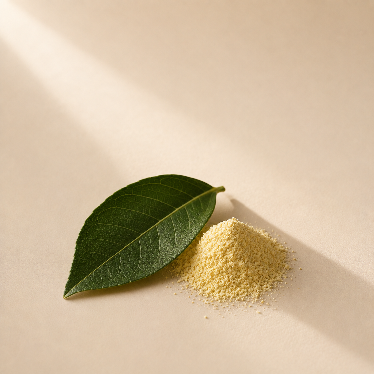 Zinc & folate